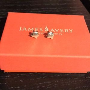 Tiny Texas Ear Posts